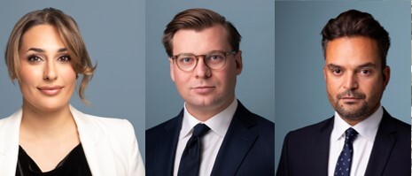 Maryrose David, Jacob Edin & Bojan Ticic